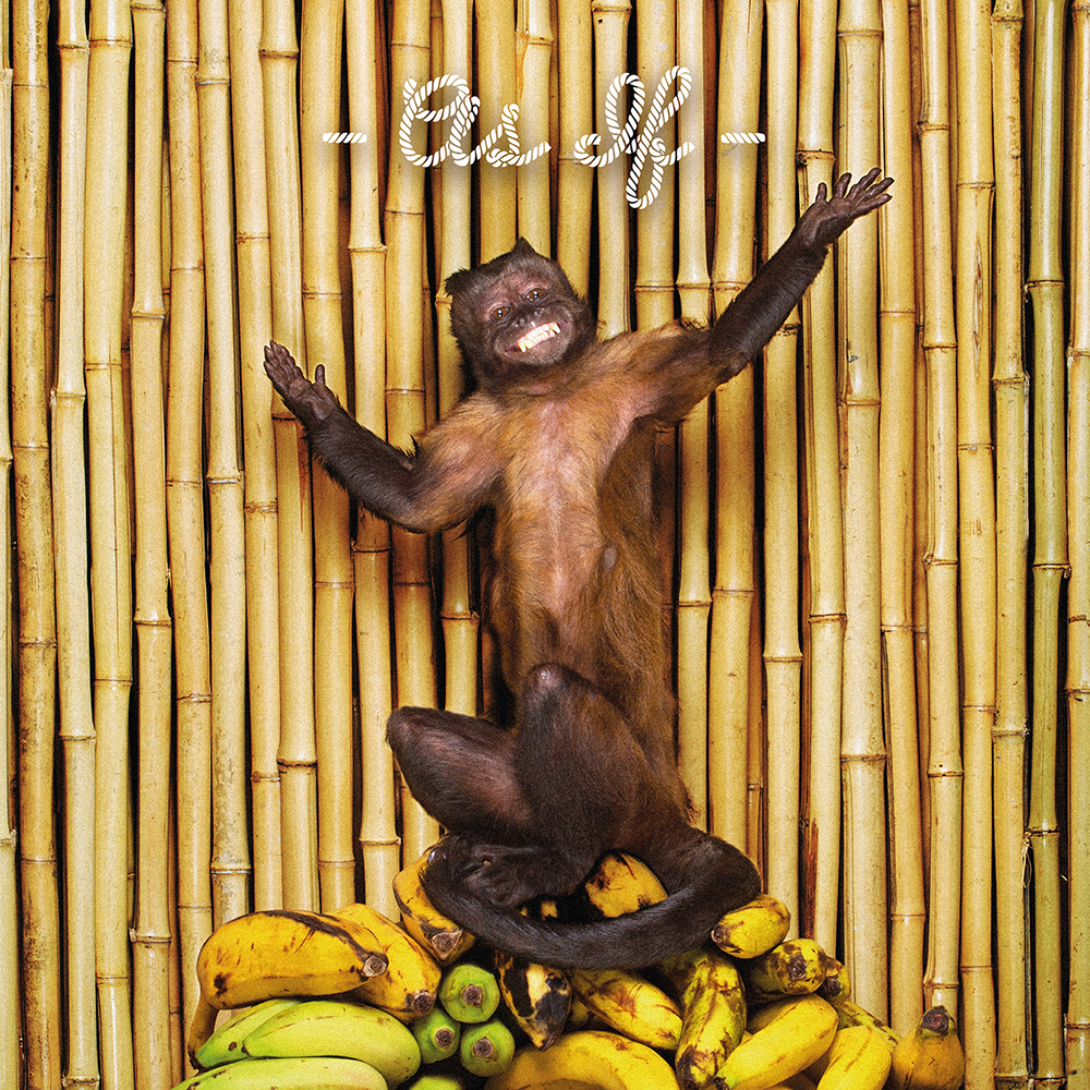 !!! (Chk Chk Chk) - As If - CD