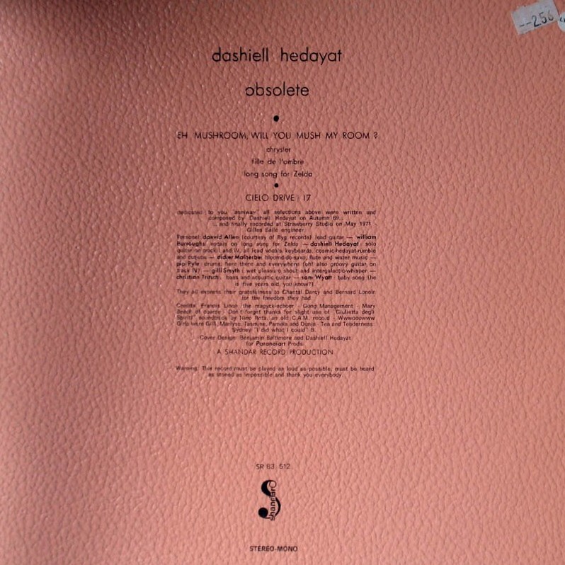 Dashiell Hedayat - Obsolete - LP - Image 2