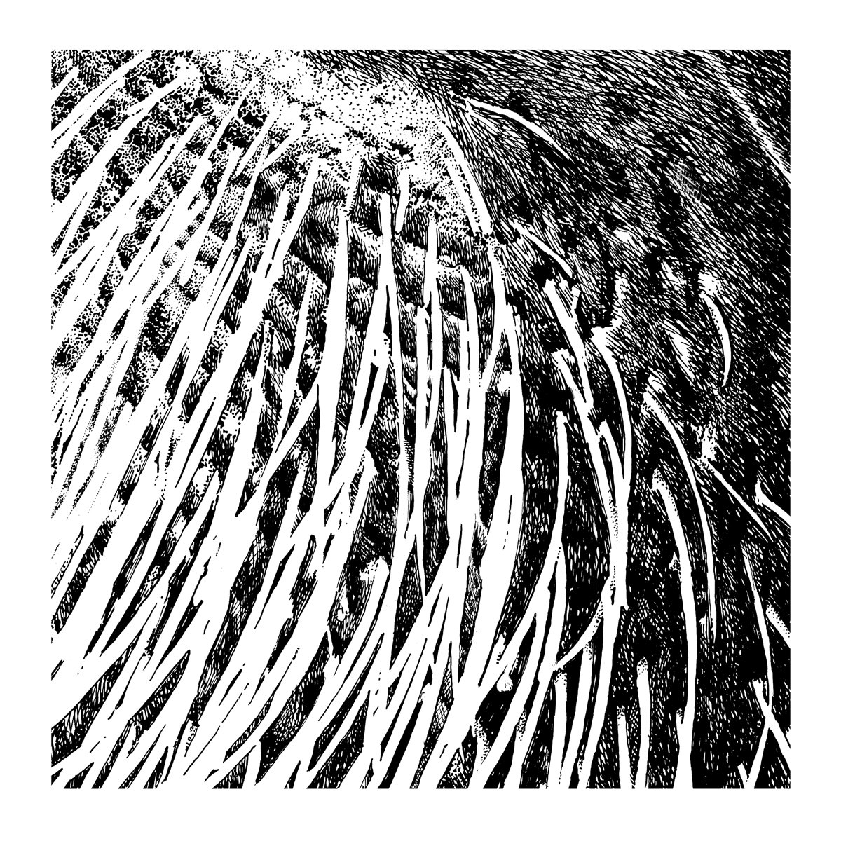 Filho da Mãe & Ricardo Martins - Tormenta - LP