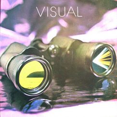 Visual - The Music Got Me - 12"