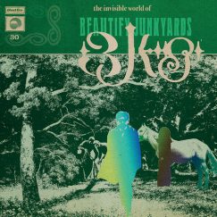 Beautify Junkyards - The Invisible World of Beautify Junkyards - LP
