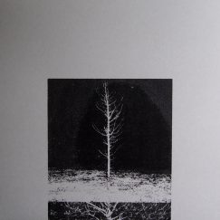 Francisco Oliveira - On The Act Of Reminding - LP