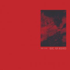 SK (Suzanne Kraft) - U KNO - LP