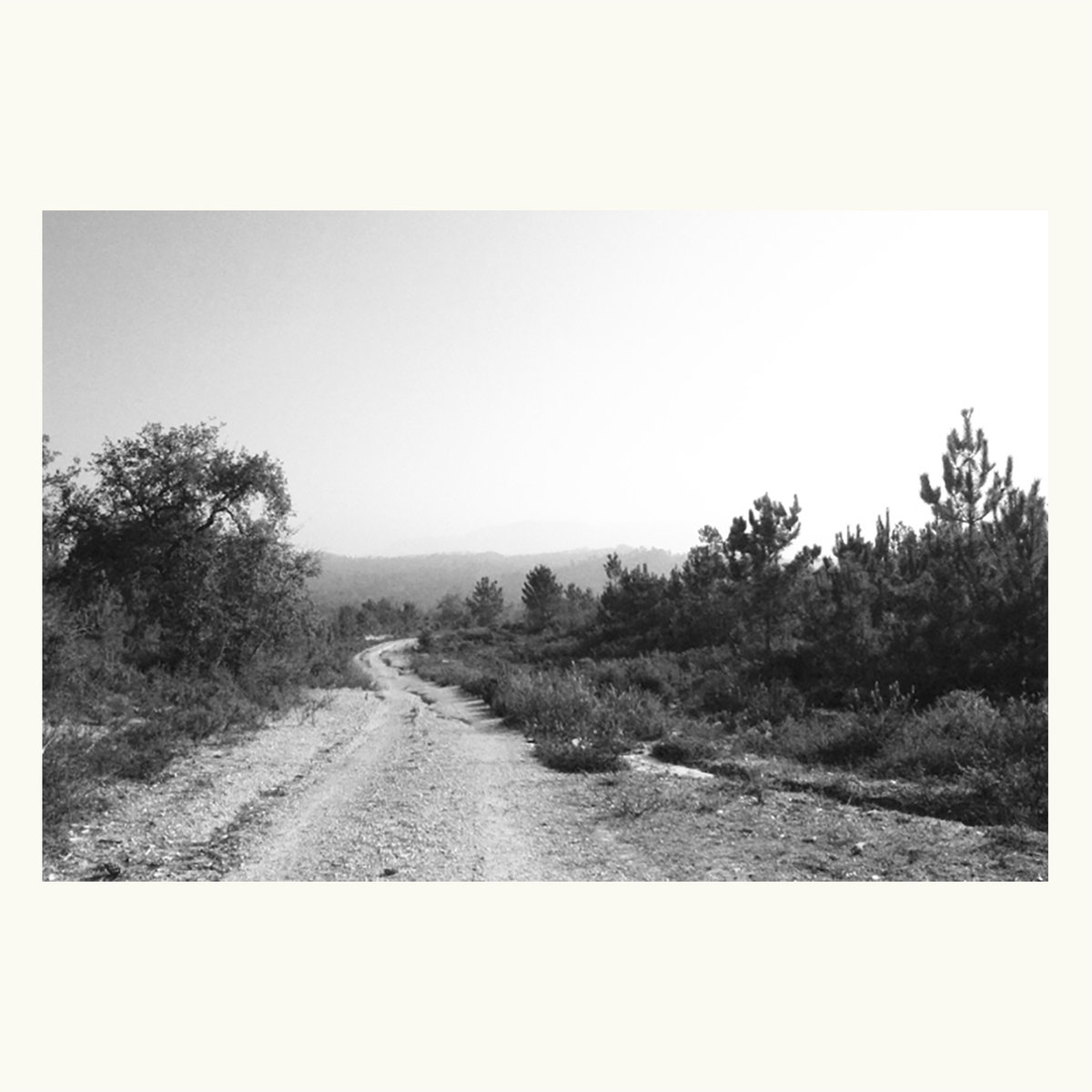 Alagoa - To Be A Mountain - CD