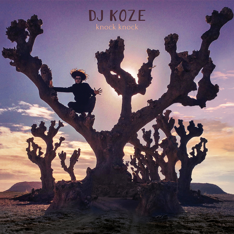 Dj Koze - Knock Knock - 2LP+7"