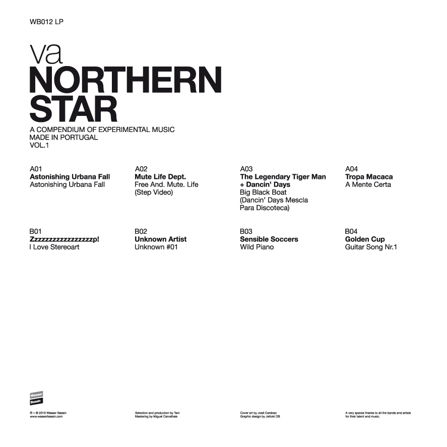 V/A - Northern Star: A Compendium Of Experimental Music Made In Portugal Vol.1 - LP - Image 2