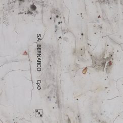 Sã Bernardo - Cp0 - K7