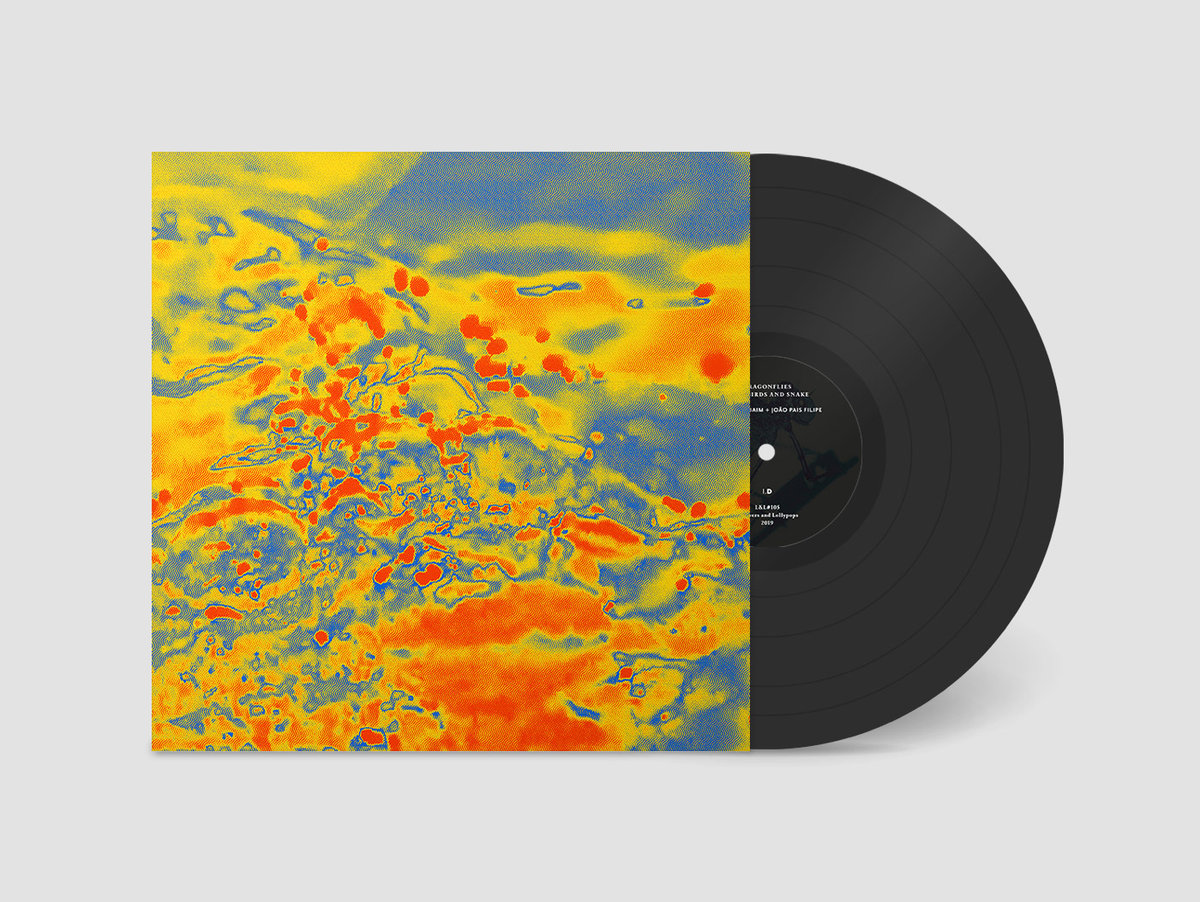Black Bombaim + João Pais Filipe - Dragonflies With Birds And Snake - LP - Image 2