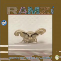 Ramzi - Multiquest Niveau 1: Camouflé - LP