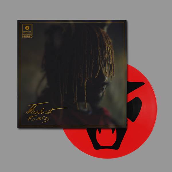 Thundercat - It Is What It Is - LP (Picture Disc) - Image 2