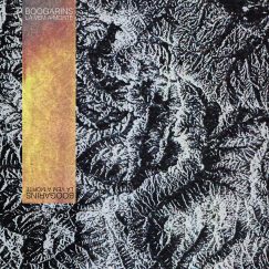 Boogarins - Lá Vem A Morte - LP