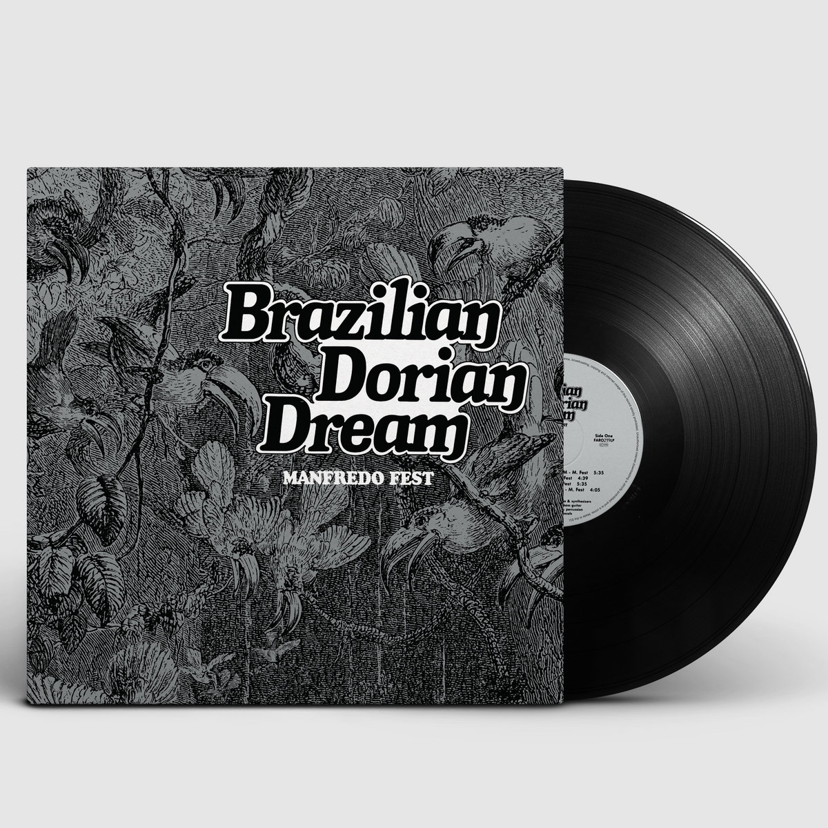 Manfredo Fest - Brazilian Dorian Dream - LP - Image 2