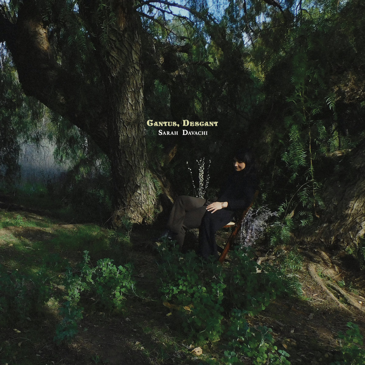 Sarah Davachi - Cantus, Descant - 2LP