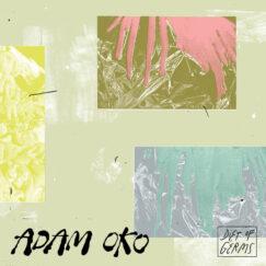 Adam Yoko - Diet Of Germs - 12"