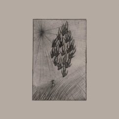 Áine O’Dwyer - Locusts - LP