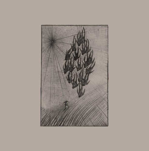 Áine O’Dwyer - Locusts - LP