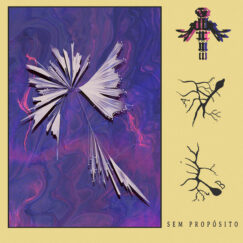 Bríi - Sem Propósito - K7