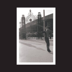 Irreversible Entanglements - Open The Gates - 2LP (Brown)