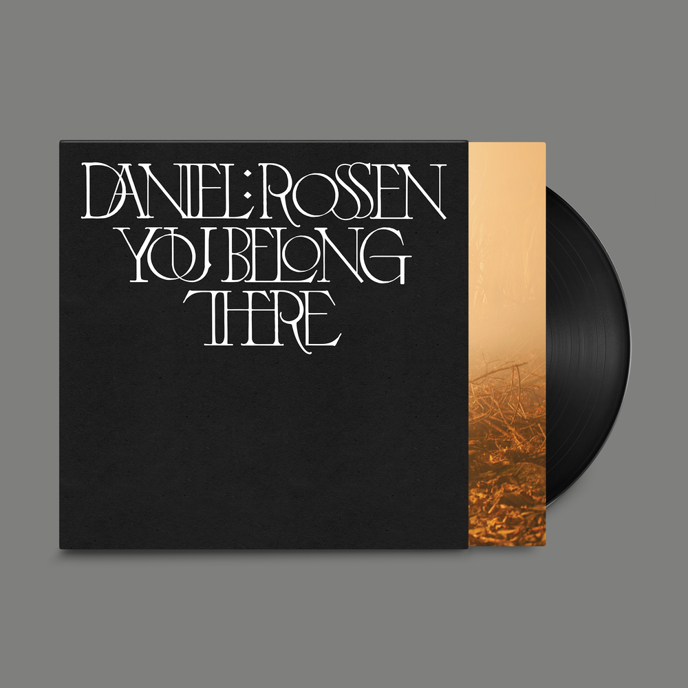 Daniel Rossen - You Belong There - LP - Image 2