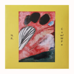 Nein Rodere - Catch Up With What Party + - LP