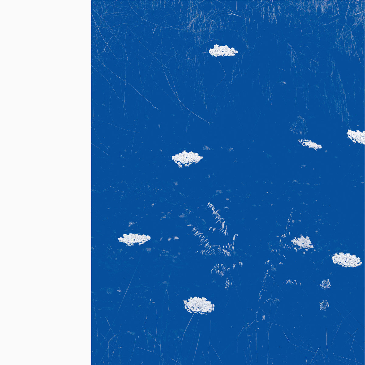 Merzbow - Flare Blues - LP