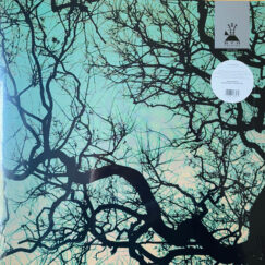 F​ö​llakzoid - F​ö​llakzoid - LP (Green Galaxy)