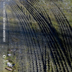 Ilia Belorukov - Scattered Underfoot - K7