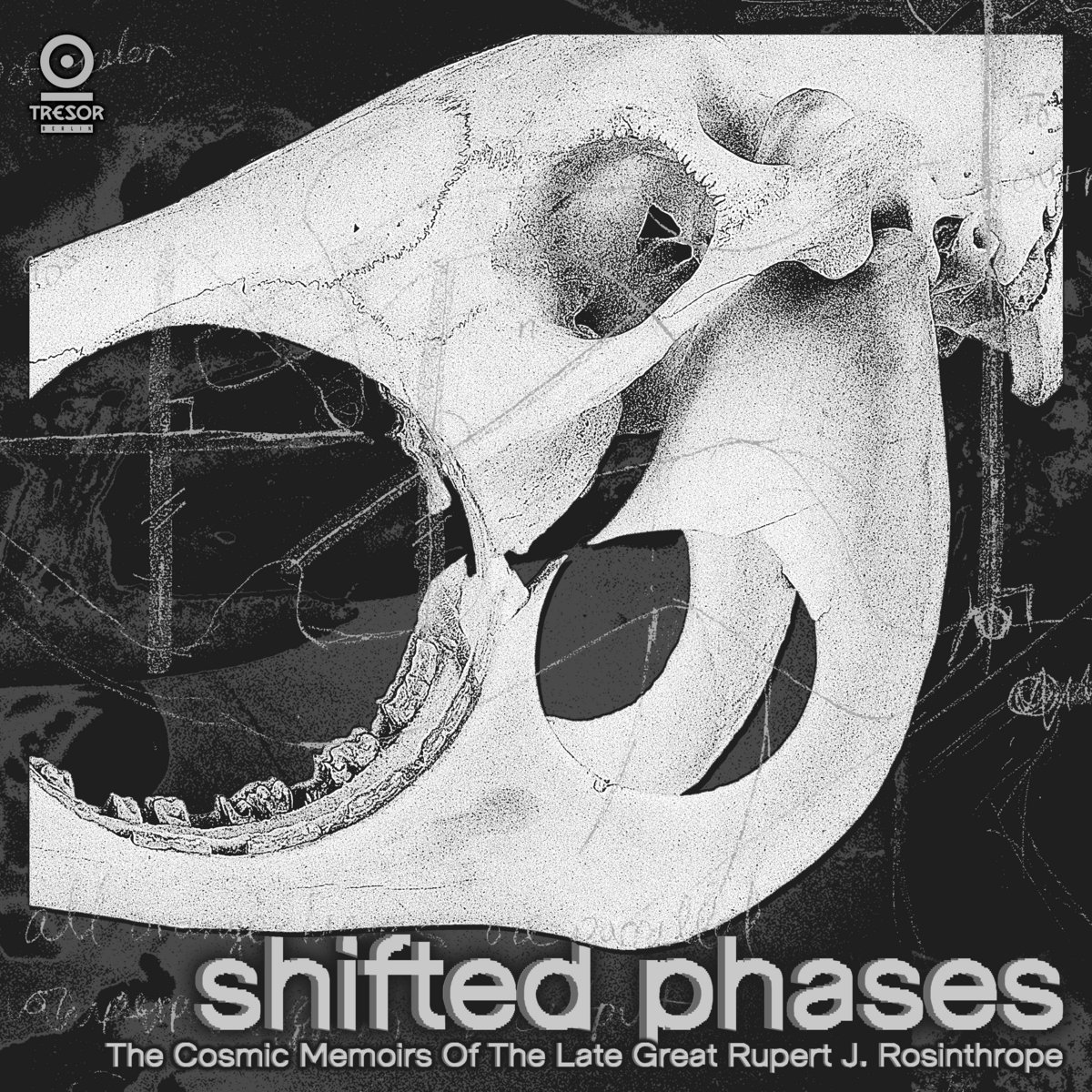 Shifted Phases - The Cosmic Memoirs Of The Late Great Rupert J. Rosinthrope - CD