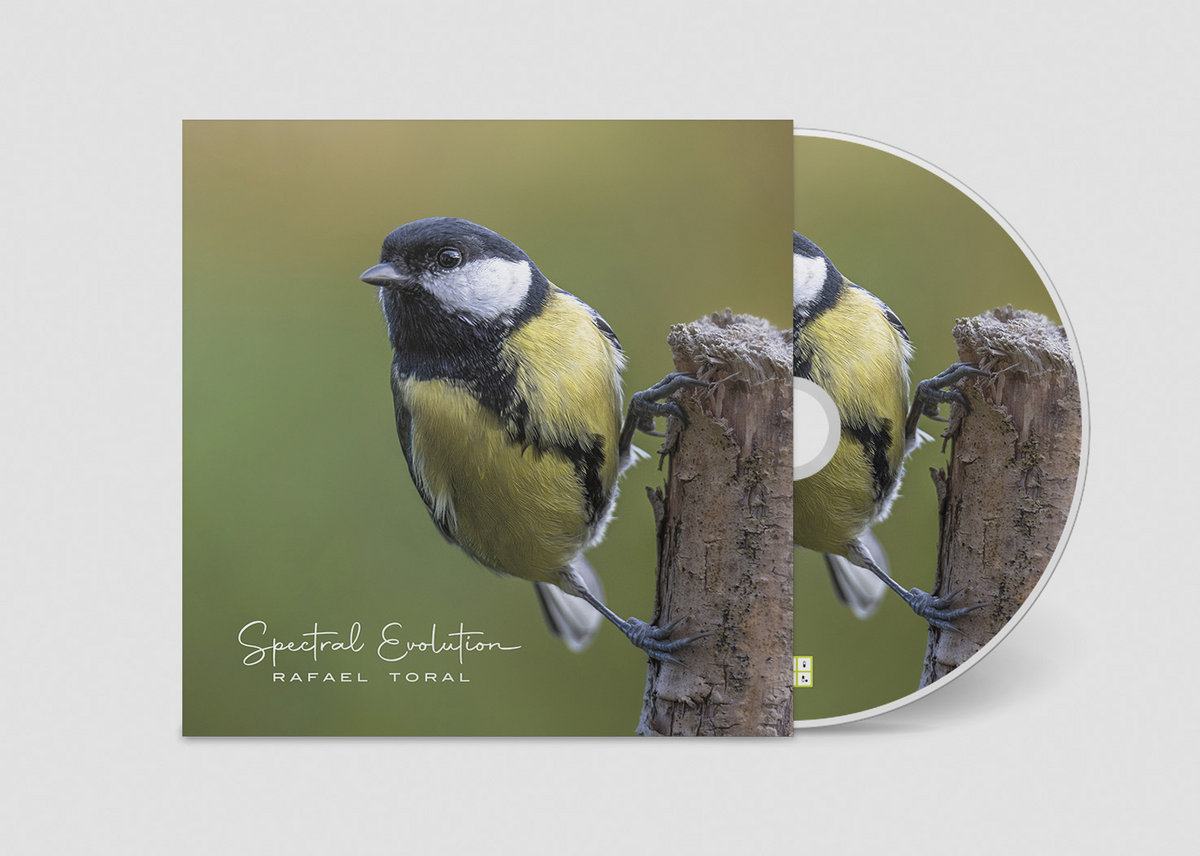Rafael Toral - Spectral Evolution - CD - Image 2