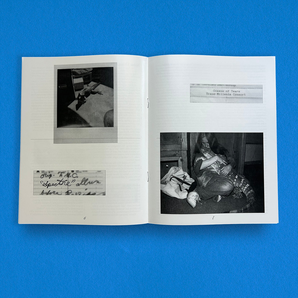 Pauline Anna Strom - Echoes, Spaces, Lines - 4LP Box - Image 4