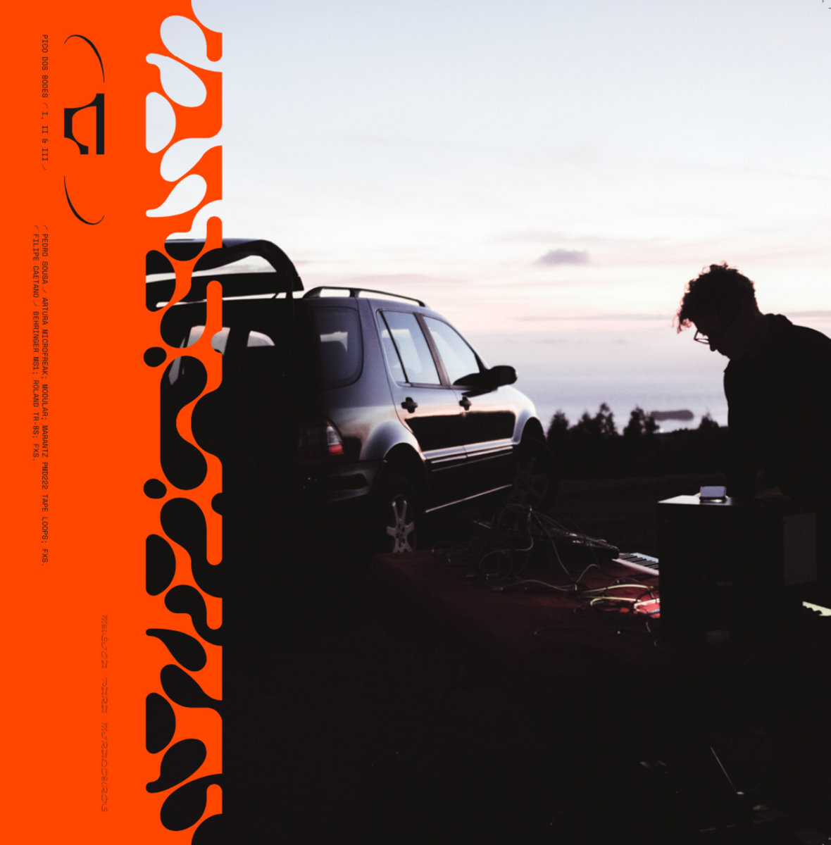 PMDS - Música Para Miradouros - 2LP - Image 2