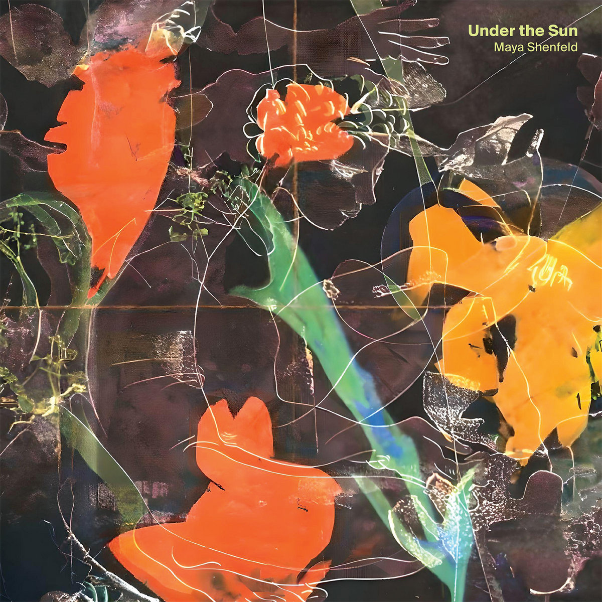 Maya Shenfeld - Under The Sun - LP (Yellow)