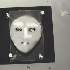 Vaiapraia - Alegria Terminal - LP
