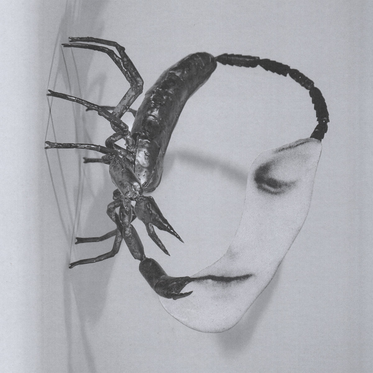 Tortoise - Touch - LP