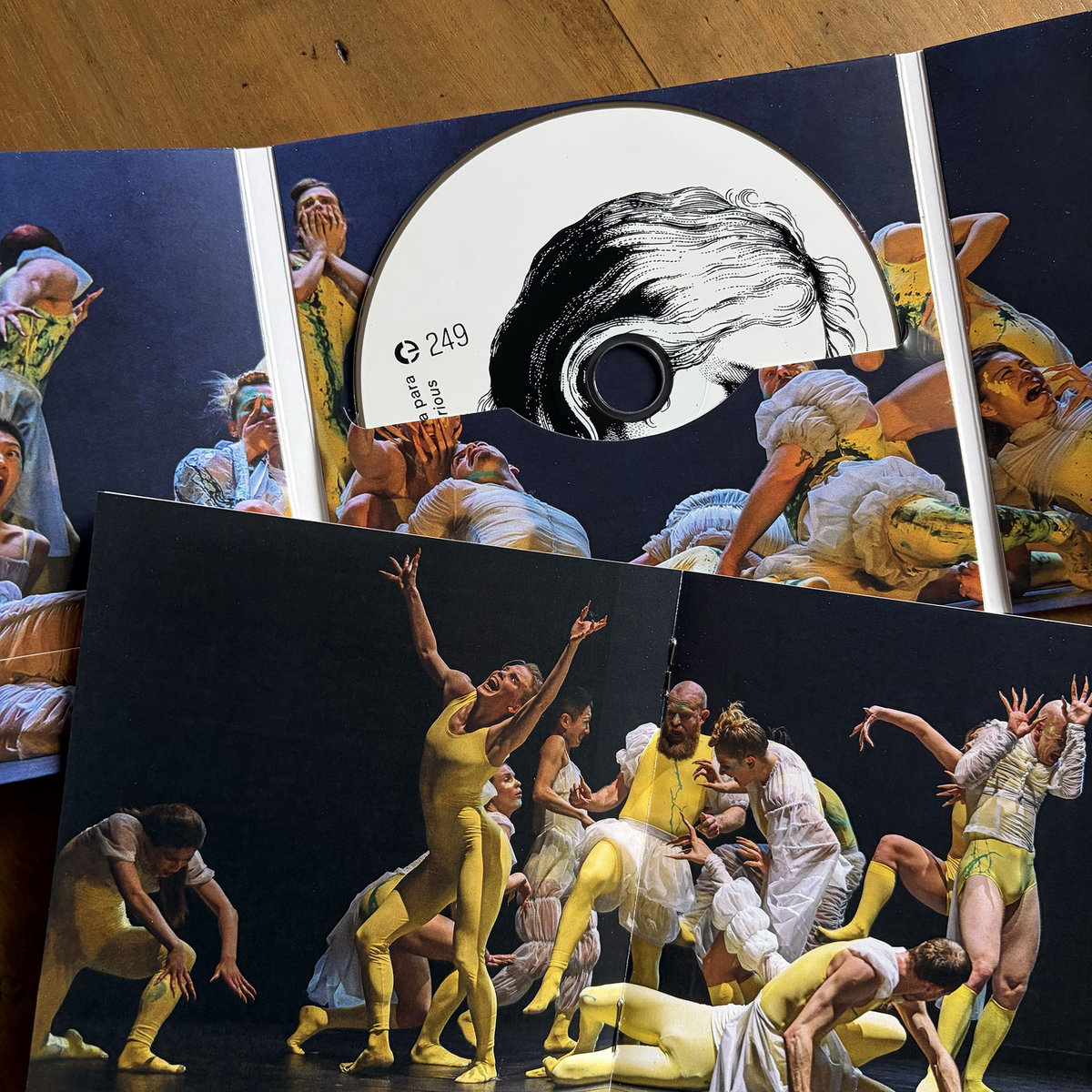 Diogo Alvim - Música para Mysterious Heart - CD - Image 2