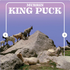 Murrin - King Puck - 12"